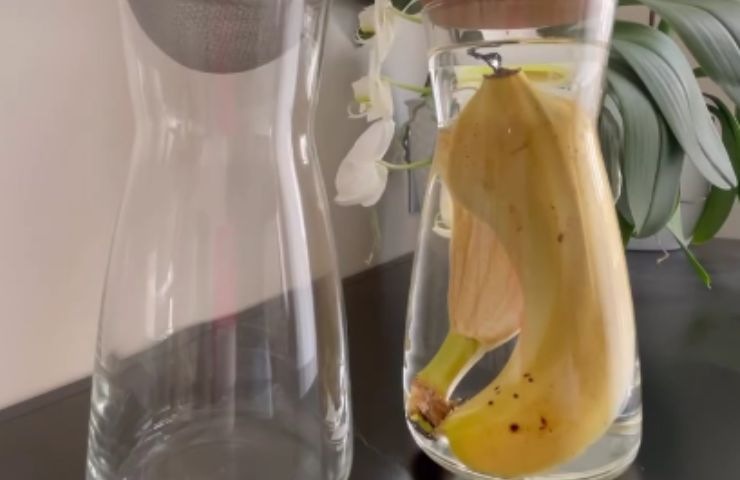 bucce di banana: usale come concime 